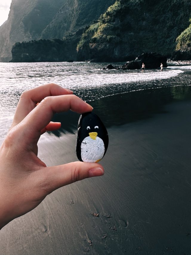 Hand-painted penguin stone #26 hidden at Seixal Beach, Madeira, Portugal (photo 3 of 5)