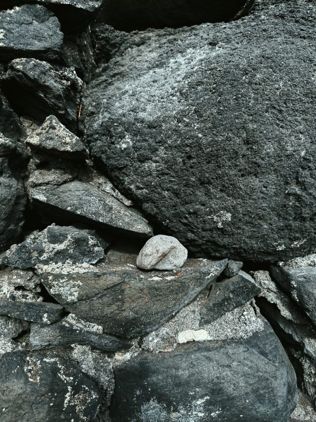 Hand-painted penguin stone #26 hidden at Seixal Beach, Madeira, Portugal (photo 4 of 5)