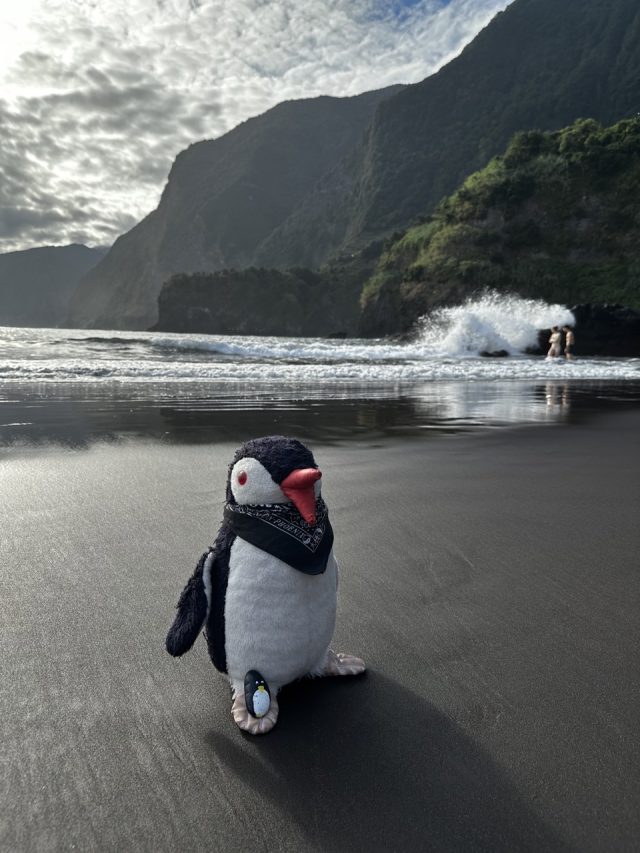 Hand-painted penguin stone #26 hidden at Seixal Beach, Madeira, Portugal (photo 5 of 5)