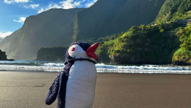 Hand-painted penguin stone #26 hidden at Seixal Beach, Madeira, Portugal