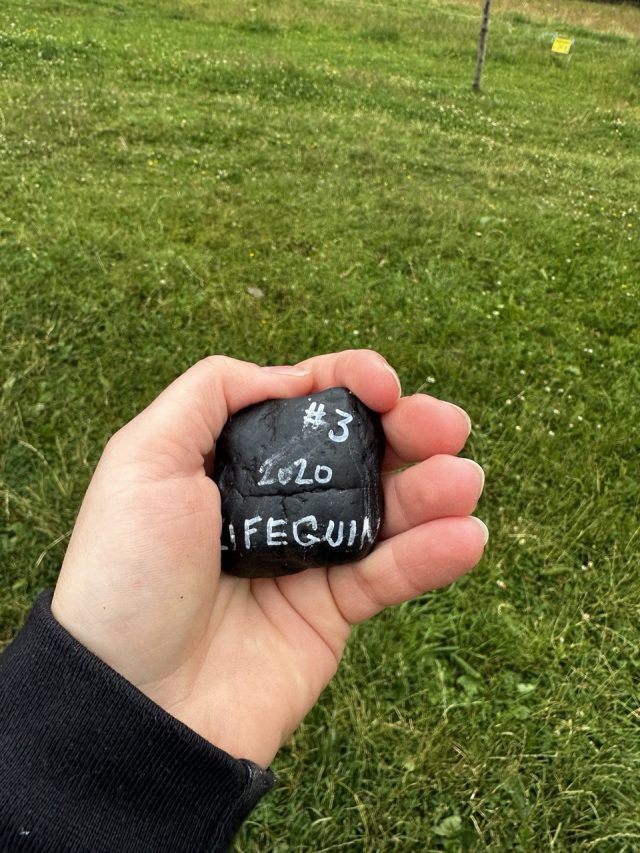 Hand-painted penguin stone #3 hidden at Bachledka, Zdiar, Slovakia (photo 3 of 5)