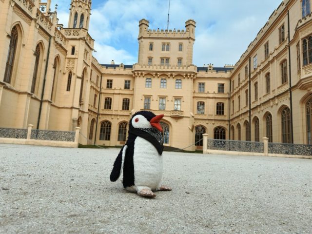 Hand-painted penguin stone #32 hidden at Lednice Castle, Lednice, Czechia (photo 3 of 5)