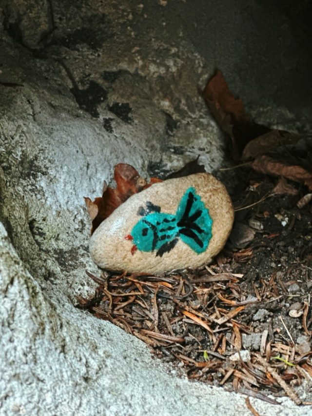 Hand-painted penguin stone #32 hidden at Lednice Castle, Lednice, Czechia (photo 4 of 5)
