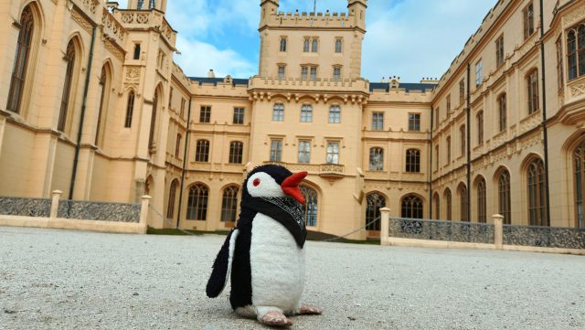 Hand-painted penguin stone #32 hidden at Lednice Castle, Lednice, Czechia