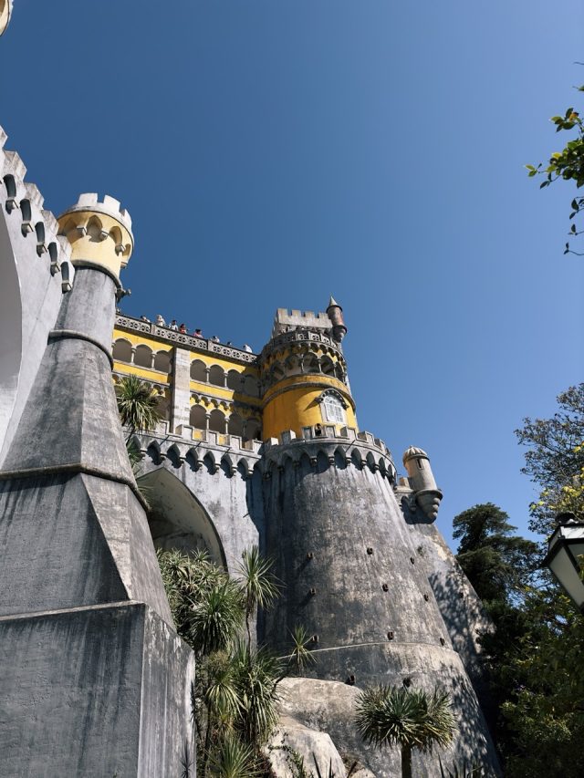 Hand-painted penguin stone #33 hidden at Pena Palace, Sintra, Portugal (photo 4 of 5)