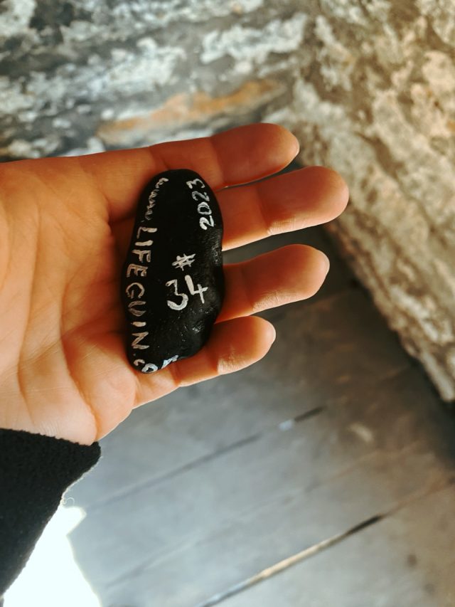 Hand-painted penguin stone #34 hidden at Sauna Tower, Tallinn, Estonia (photo 3 of 5)