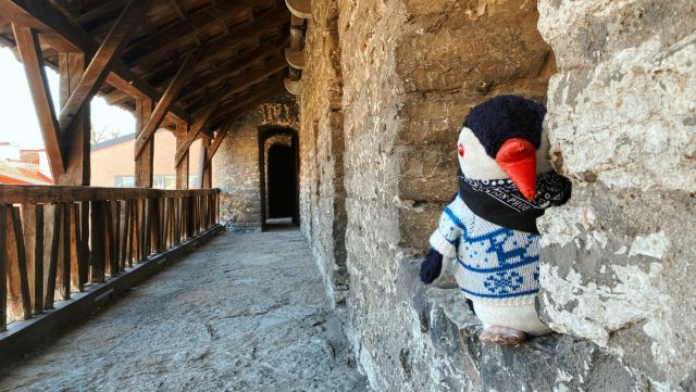 Ručne maľovaný tučniakový kameň č. 34 ukrytý na mieste Sauna Tower, Tallinn, Estónsko