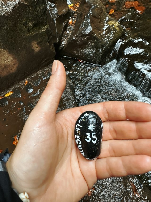 Hand-painted penguin stone #35 hidden at Levadas das 25 Fontes (PR6), Madeira, Portugal (photo 3 of 3)