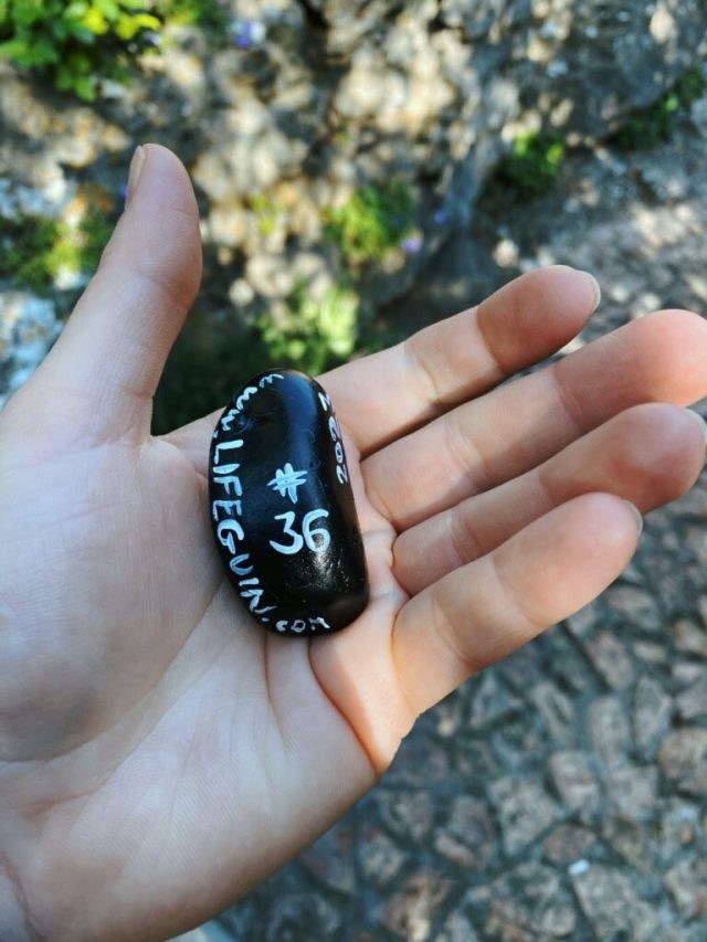 Hand-painted penguin stone #36 hidden at Le Jardin Exotique d'Eze, Eze, France (photo 3 of 5)