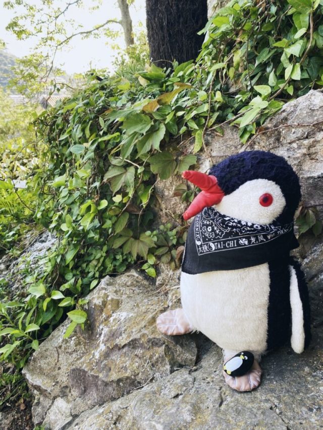 Hand-painted penguin stone #36 hidden at Le Jardin Exotique d'Eze, Eze, France (photo 5 of 5)