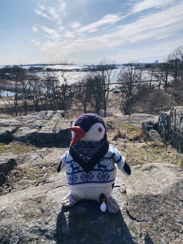 Hand-painted penguin stone #37 hidden at Kaivopuisto Park, Helsinki, Finland (photo 2 of 5)