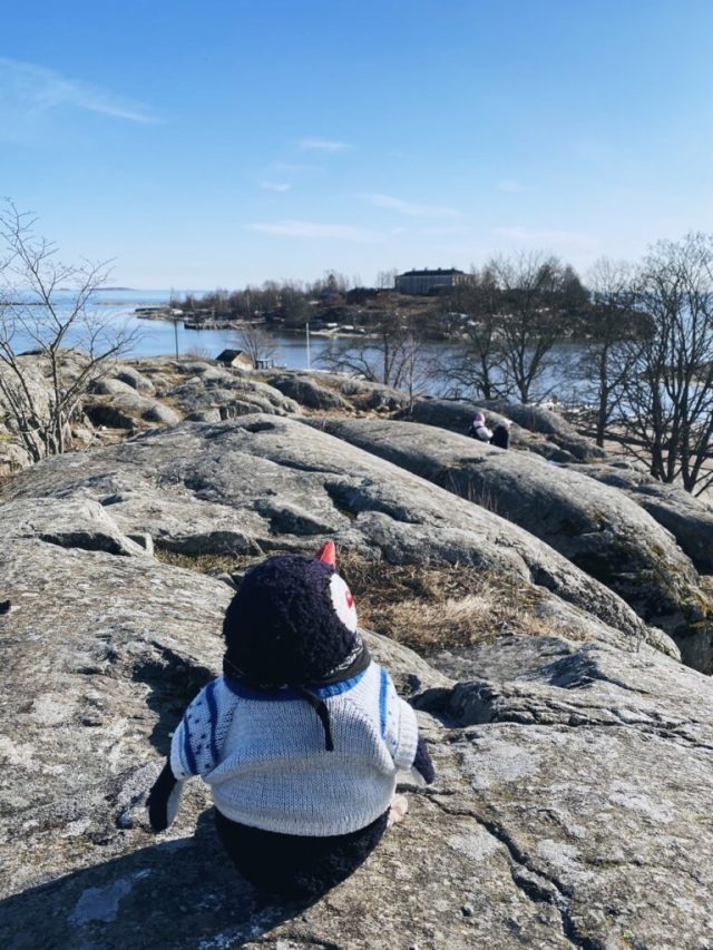 Hand-painted penguin stone #37 hidden at Kaivopuisto Park, Helsinki, Finland (photo 4 of 5)