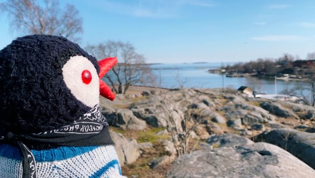 Ručne maľovaný tučniakový kameň č. 37 ukrytý na mieste Kaivopuisto Park, Helsinki, Fínsko