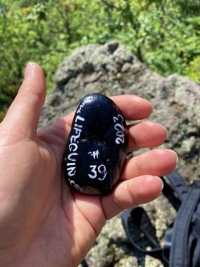 Hand-painted penguin stone #39 hidden at Valley of Giants, Hermanovce nad Toplou, Slovakia (photo 2 of 5)