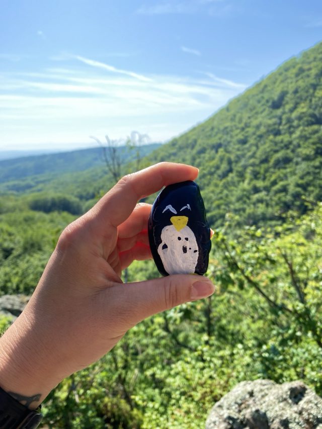 Hand-painted penguin stone #39 hidden at Valley of Giants, Hermanovce nad Toplou, Slovakia (photo 3 of 5)