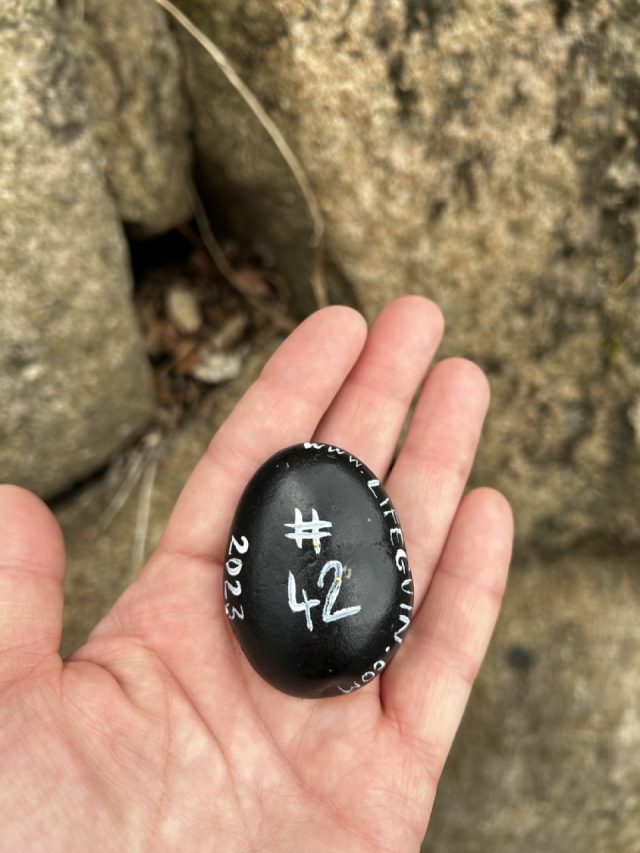 Hand-painted penguin stone #42 hidden at Osaka Castle, Osaka, Japan (photo 2 of 4)