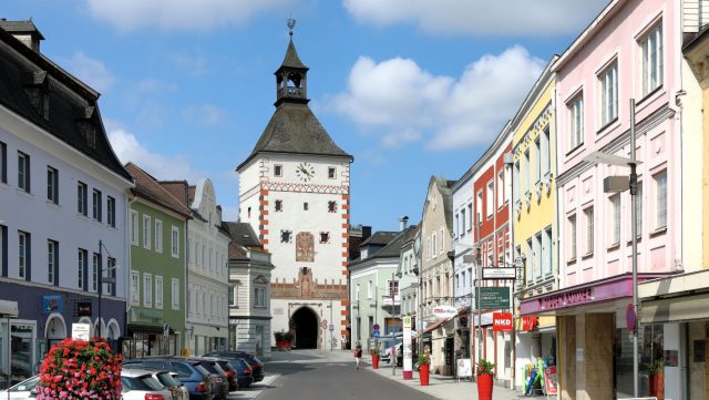 Ručne maľovaný tučniakový kameň č. 45 ukrytý na mieste Forest, Vöcklabruck, Rakúsko