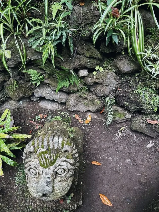 Hand-painted penguin stone #48 hidden at Monte Palace Tropical Garden, Funchal, Portugal (photo 2 of 5)