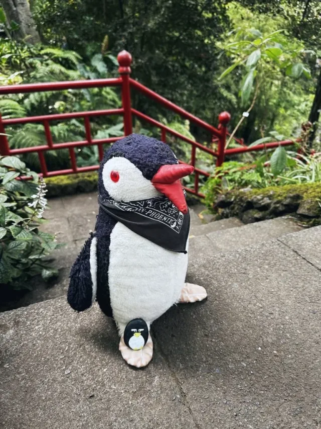 Hand-painted penguin stone #48 hidden at Monte Palace Tropical Garden, Funchal, Portugal (photo 4 of 5)