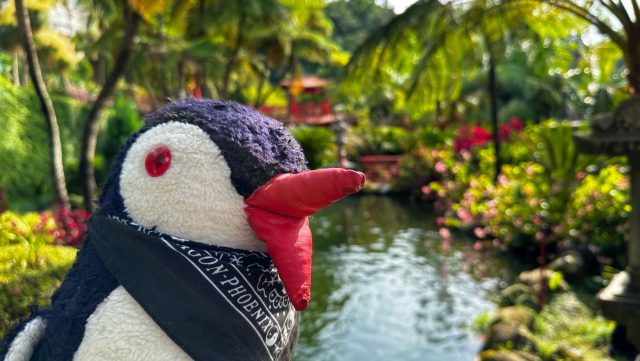 Hand-painted penguin stone #48 hidden at Monte Palace Tropical Garden, Funchal, Portugal