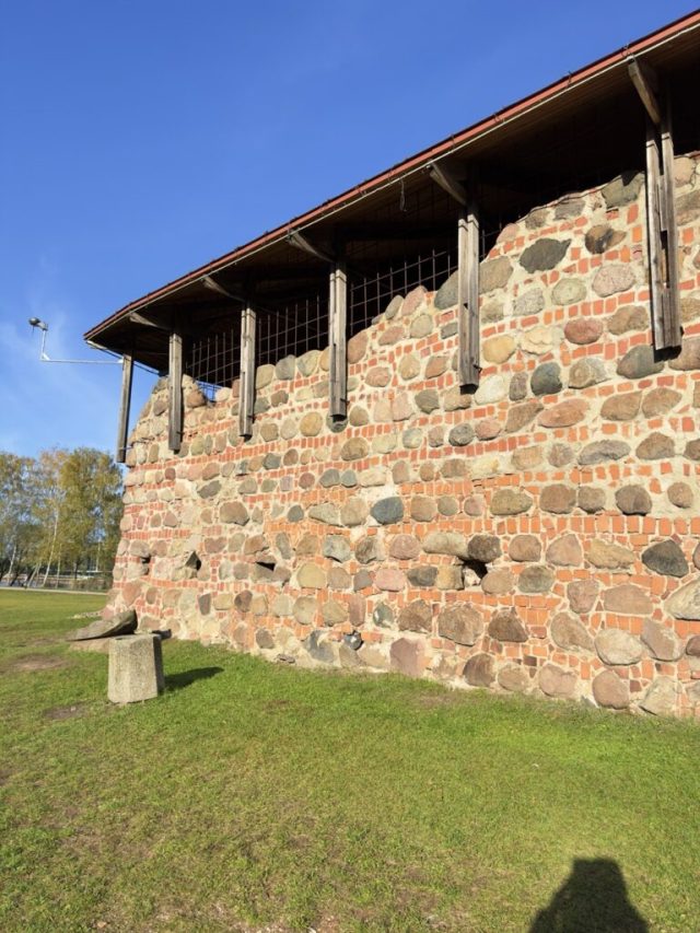 Hand-painted penguin stone #52 hidden at Kaunas Castle, Kaunas, Lithuania (photo 4 of 5)