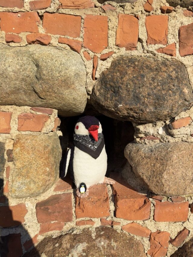Hand-painted penguin stone #52 hidden at Kaunas Castle, Kaunas, Lithuania (photo 5 of 5)