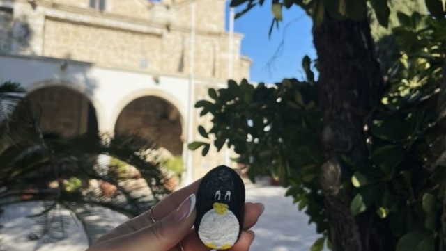 Ručne maľovaný tučniakový kameň č. 54 ukrytý na mieste Panagia Chrisopolitissa, Larnaca, Cyprus