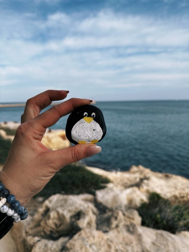 Hand-painted penguin stone #55 hidden at Waterfront, Valletta, Malta (photo 2 of 5)