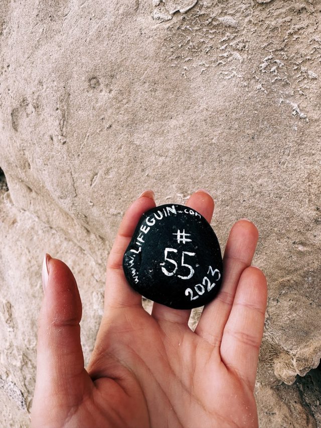 Hand-painted penguin stone #55 hidden at Waterfront, Valletta, Malta (photo 3 of 5)