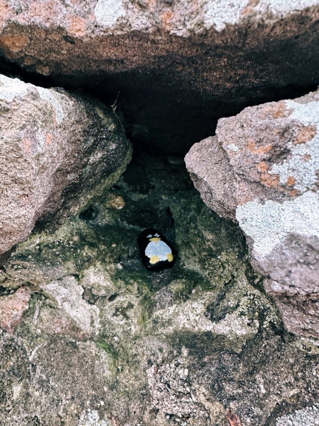 Hand-painted penguin stone #58 hidden at Solnohrad, Presov, Slovakia (photo 3 of 5)