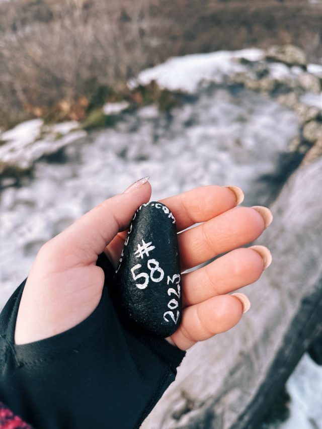 Hand-painted penguin stone #58 hidden at Solnohrad, Presov, Slovakia (photo 4 of 5)