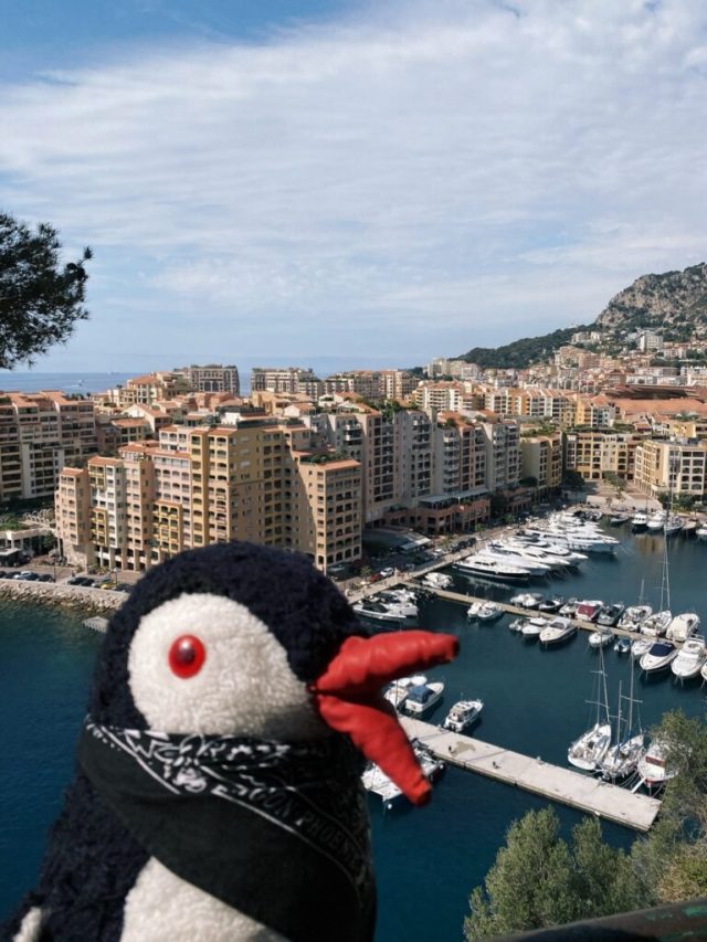 Hand-painted penguin stone #6 hidden at Saint Martin Gardens, Monaco, Monaco (photo 2 of 5)