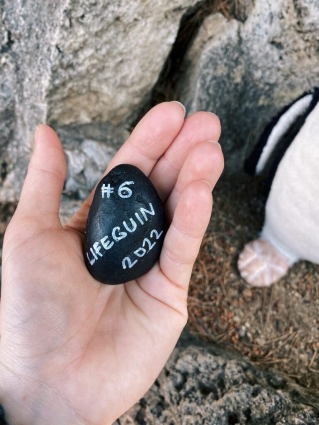 Hand-painted penguin stone #6 hidden at Saint Martin Gardens, Monaco, Monaco (photo 5 of 5)