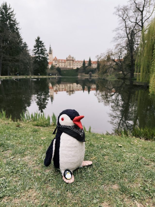Hand-painted penguin stone #61 hidden at Pruhonice Park, Prague, Czechia (photo 2 of 5)