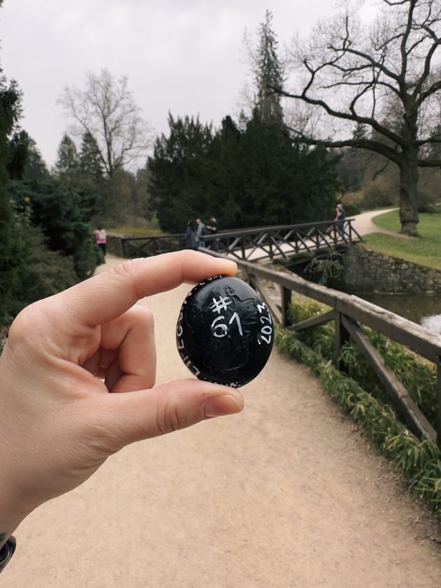 Hand-painted penguin stone #61 hidden at Pruhonice Park, Prague, Czechia (photo 5 of 5)