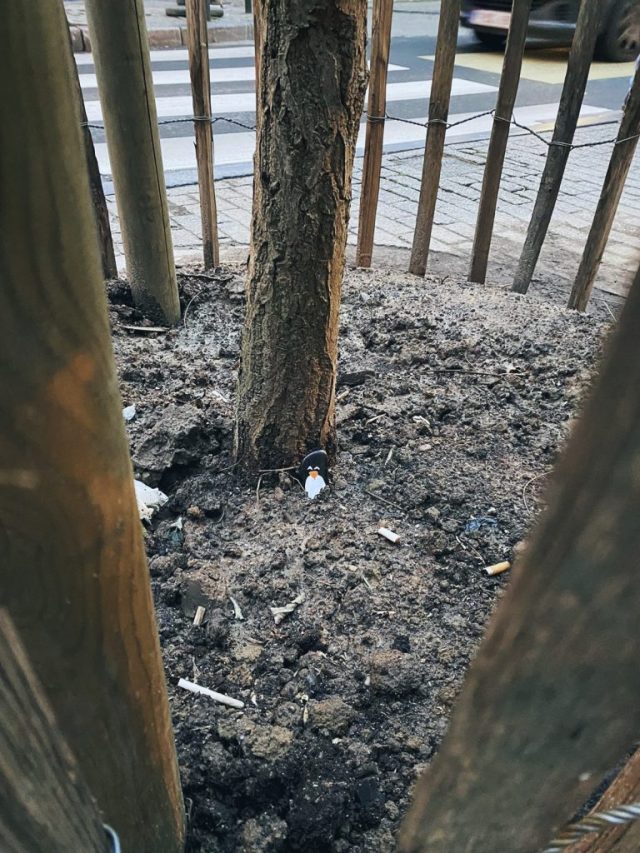 Hand-painted penguin stone #64 hidden at Marollen, Brussels, Belgium (photo 3 of 4)