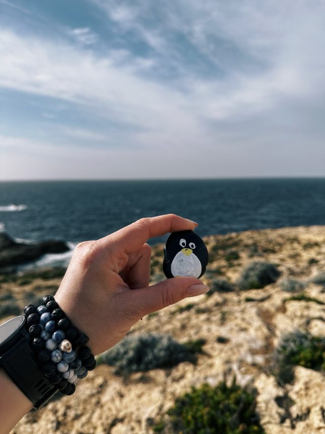 Hand-painted penguin stone #67 hidden at Dwerja Bay, Gozo, Malta (photo 5 of 5)