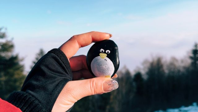 Ručne maľovaný tučniakový kameň č. 69 ukrytý na mieste Žobrák, Hervartov, Slovensko