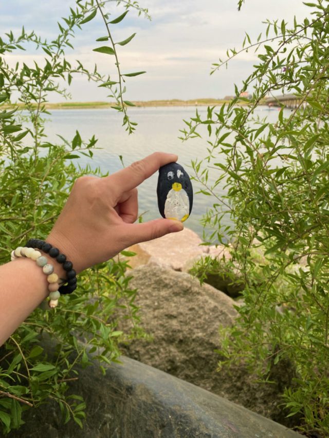 Hand-painted penguin stone #7 hidden at Amager Strandpark, Copenhagen, Denmark (photo 4 of 5)