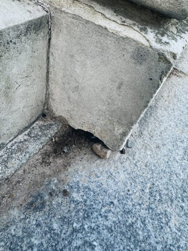 Hand-painted penguin stone #72 hidden at Monument to Alfonso XII, Madrid, Spain (photo 3 of 5)