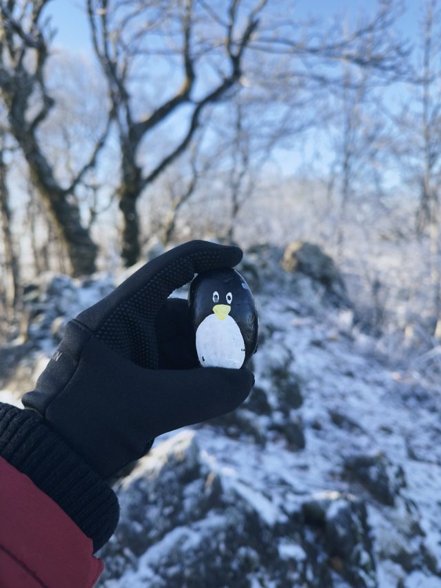 Hand-painted penguin stone #73 hidden at Zaruby, Smolenice, Slovakia (photo 2 of 5)