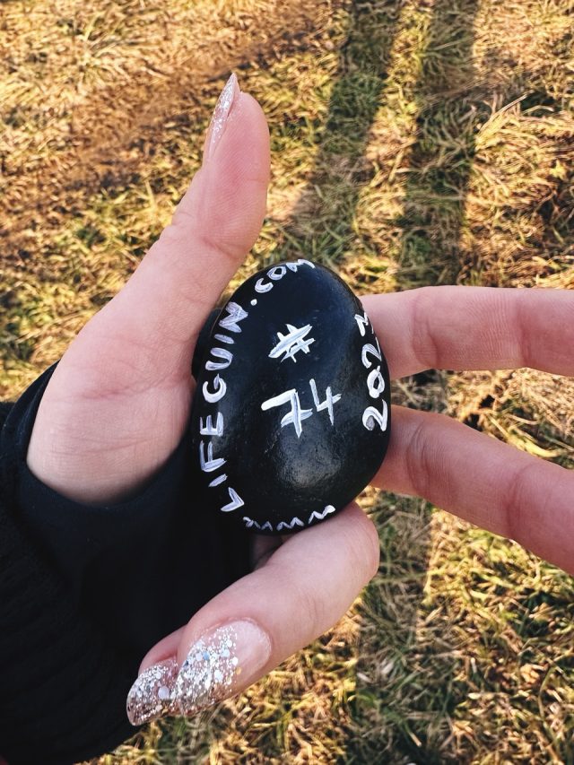 Hand-painted penguin stone #74 hidden at Chmelnica, Presov Region, Slovakia (photo 2 of 5)