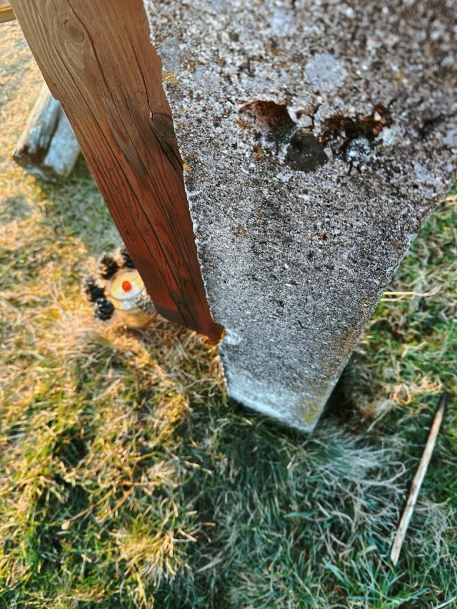 Hand-painted penguin stone #74 hidden at Chmelnica, Presov Region, Slovakia (photo 3 of 5)