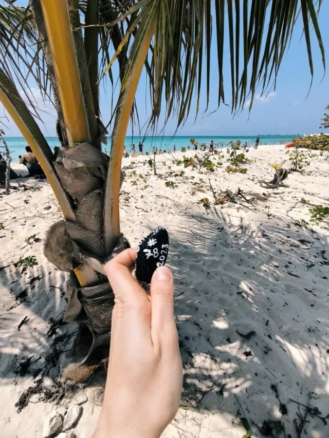 Hand-painted penguin stone #78 hidden at Grand Cayman, Cayman Islands, Cayman Islands (photo 5 of 5)