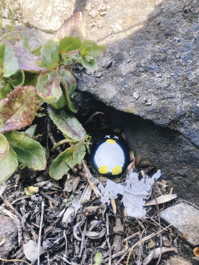 Hand-painted penguin stone #8 hidden at Kastellet, Stockholm, Sweden (photo 4 of 5)