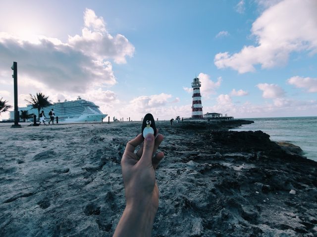 Hand-painted penguin stone #80 hidden at MSC Marine Reserve, Ocean Cay, Bahamas (photo 3 of 5)