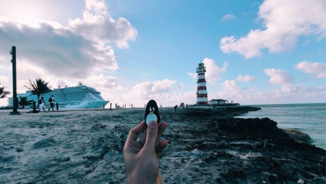 Ručne maľovaný tučniakový kameň č. 80 ukrytý na mieste MSC Marine Reserve, Ocean Cay, Bahamy
