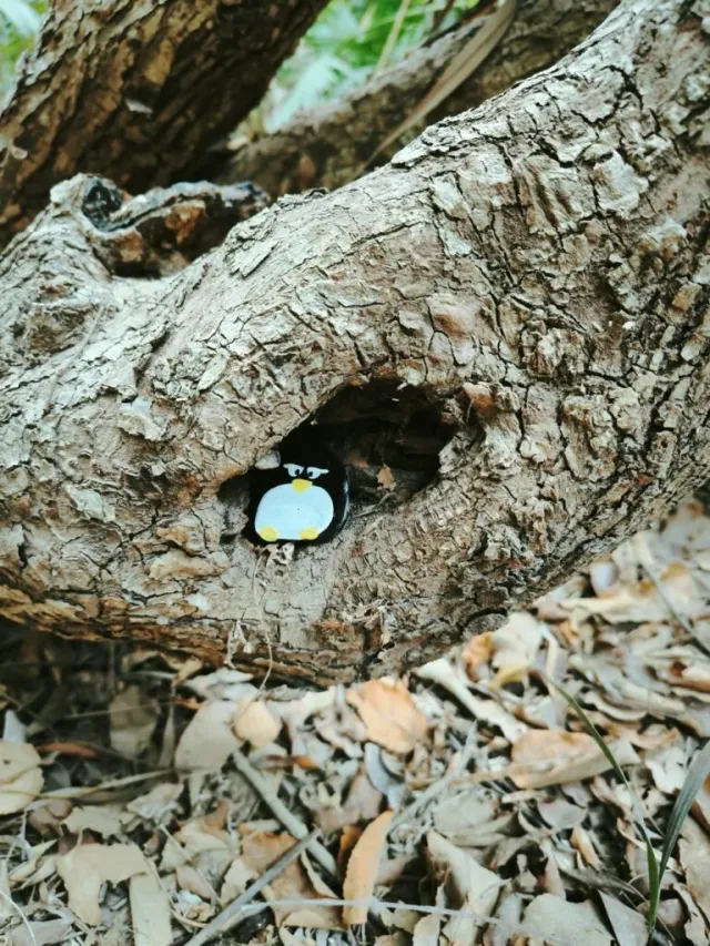 Hand-painted penguin stone #81 hidden at Tulum National Park, Tulum, Mexico (photo 4 of 5)