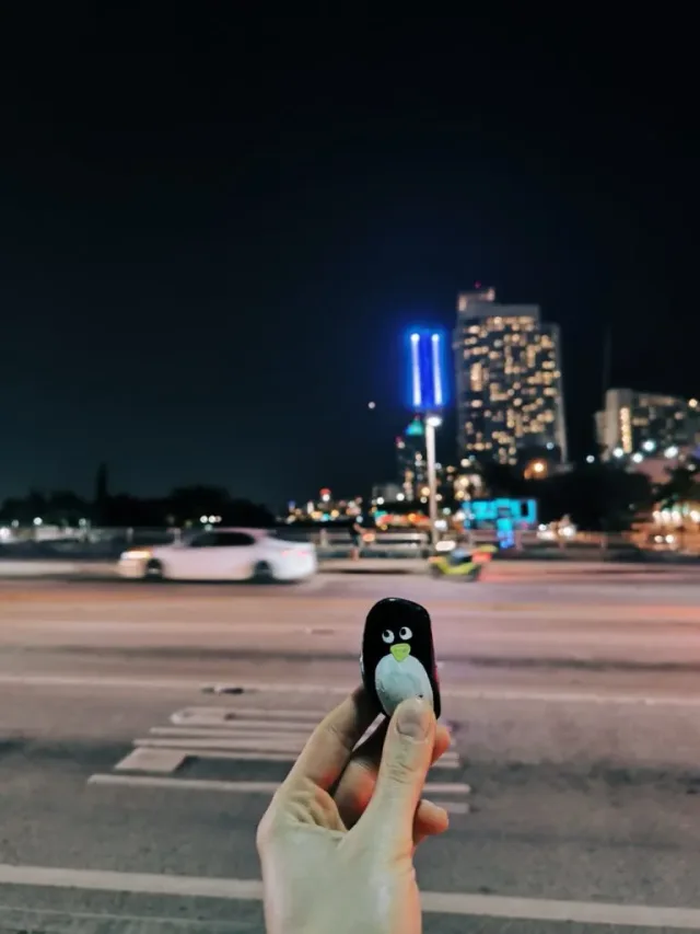 Hand-painted penguin stone #84 hidden at Miami, Florida, United States (photo 3 of 5)