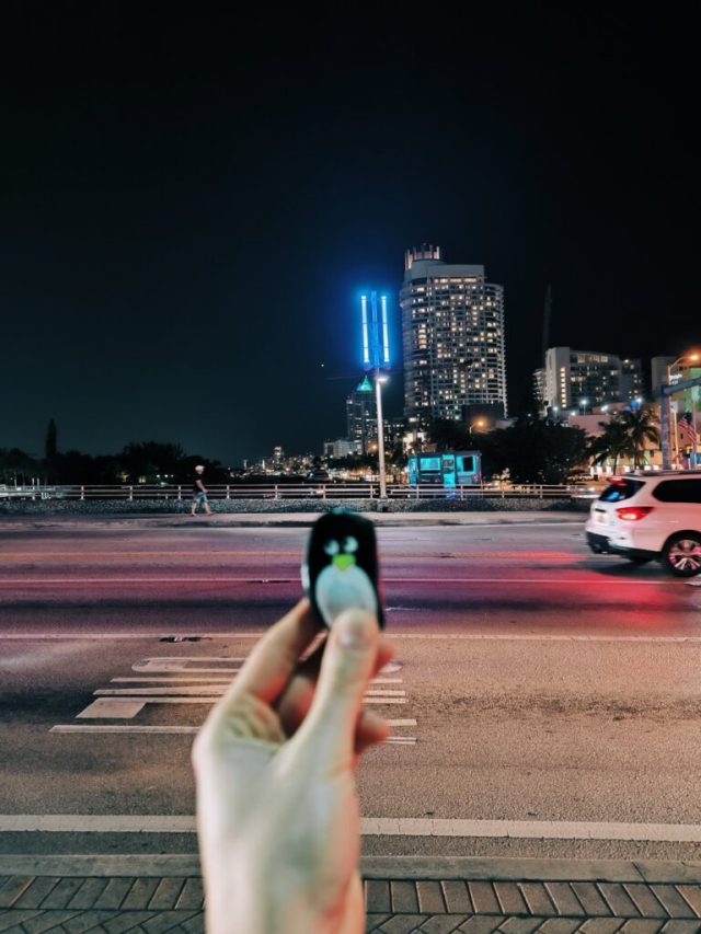 Hand-painted penguin stone #84 hidden at Miami, Florida, United States (photo 5 of 5)